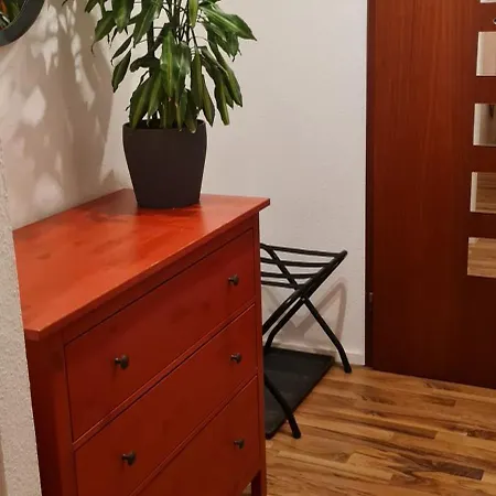 Mels שווצינגן